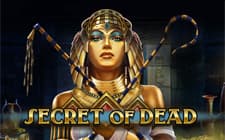 Secret Of Dead