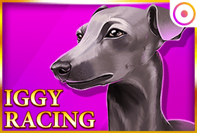Iggy Racing